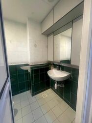 The Tanamera (D16), Condominium #483370871